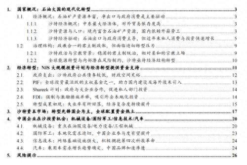 中国企业在沙投资机会:机械设备国防军工信息技术汽车(图1) 中国企业在沙投资机会:机械设备国防军工信息技术汽车(图1)