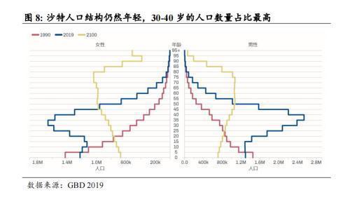 中国企业在沙投资机会:机械设备国防军工信息技术汽车(图4) 中国企业在沙投资机会:机械设备国防军工信息技术汽车(图4)