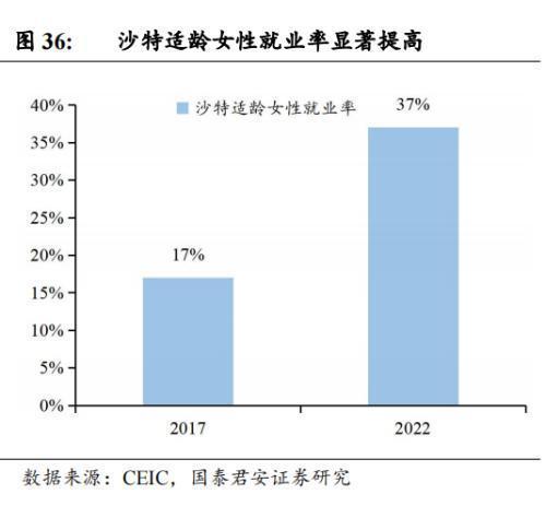 中国企业在沙投资机会:机械设备国防军工信息技术汽车(图20) 中国企业在沙投资机会:机械设备国防军工信息技术汽车(图20)