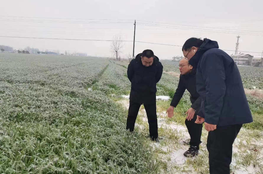 全力保障农业生产(图1)