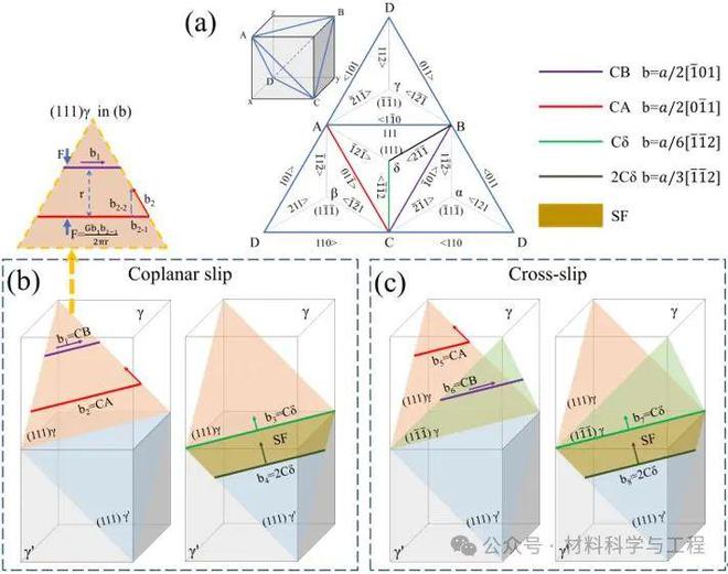 西工大《JMST》：取向旋转主导单晶高温合金中温蠕变各向异性！(图8)