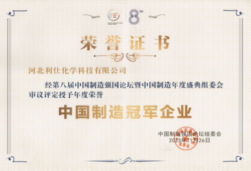 河北利仕化学科技有限公司受邀出席2023（第八届）中国制造强国论坛(图5)