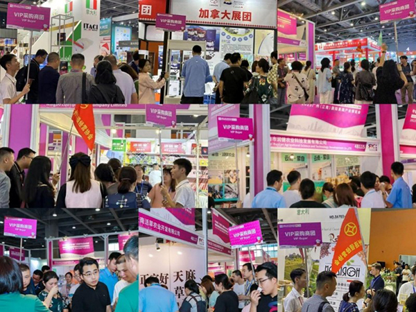 从中国制造到全球品牌2024中食展®（广州）助力企业快速拓展全球市场(图5)