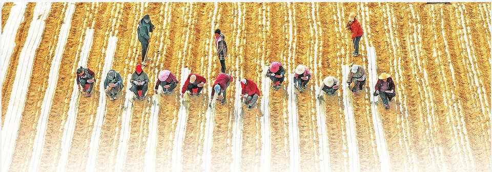 山西省人民政府(图3) 山西省人民政府(图3)
