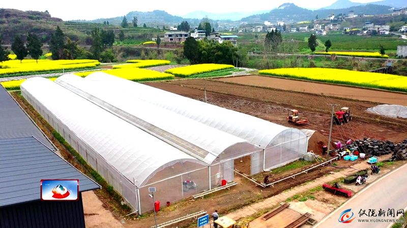 机械化育秧助力春耕生产跑出“加速度”(图3) 机械化育秧助力春耕生产跑出“加速度”(图3)