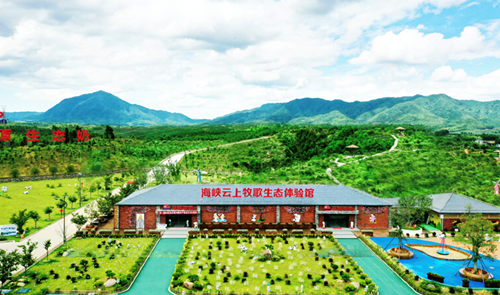 政策合力促进机器人产业蓬勃发展(图13)