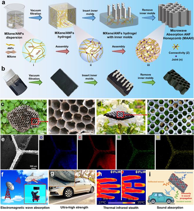 陕西科技大学张美云教授、杨斌副教授团队Adv Fiber Mater:功能结构一体化的多功能芳纶吸波蜂窝材料(图2) 陕西科技大学张美云教授、杨斌副教授团队Adv Fiber Mater:功能结构一体化的多功能芳纶吸波蜂窝材料(图2)