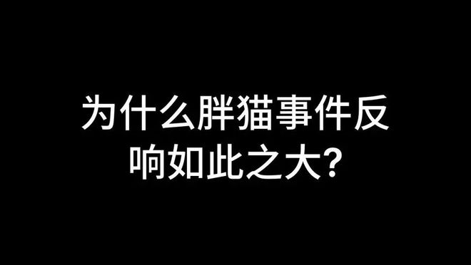 “胖猫跳江”反转:姐姐制造网暴双方确实恋爱女方不构成诈骗(图1) “胖猫跳江”反转:姐姐制造网暴双方确实恋爱女方不构成诈骗(图1)