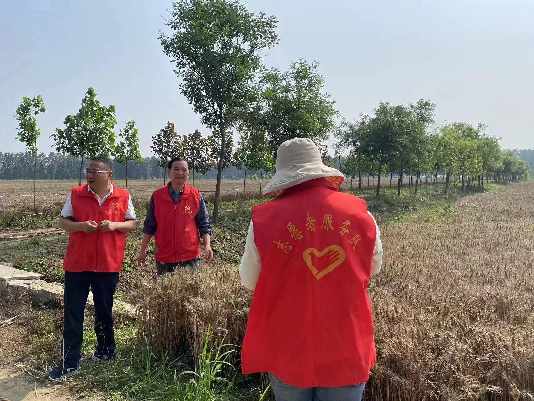 遂平县公路事业发展中心为“三夏”生产保驾护航(图1)