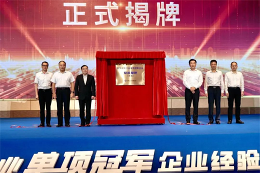 全省地级市排名第一！10家莞企我会副会长单位“鼎泰高科”入选第八批制造业单项冠军企业名单(图2)