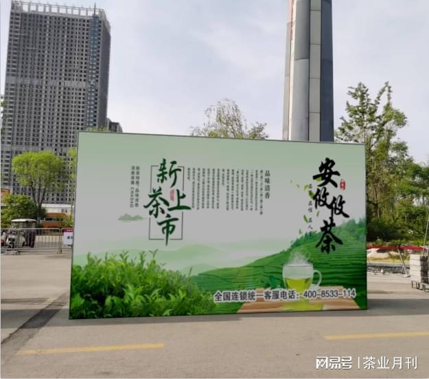 安攸攸茶业分享茶叶采摘时间与标准详解(图3) 安攸攸茶业分享茶叶采摘时间与标准详解(图3)