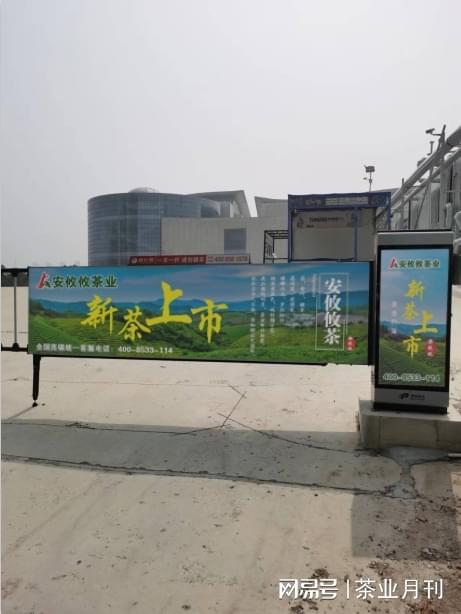 安攸攸茶业分享茶叶采摘时间与标准详解(图1) 安攸攸茶业分享茶叶采摘时间与标准详解(图1)