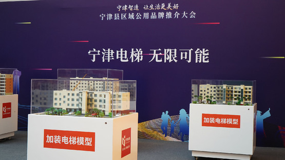 打造三大区域公用品牌“以产兴县”助推“宁津智造”跃升(图1) 打造三大区域公用品牌“以产兴县”助推“宁津智造”跃升(图1)