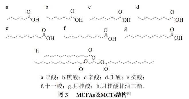 《食品科学》:中国农业大学肖卫华教授等:中链脂肪酸在疾病辅助治疗中的应用及作用机制研究进展(图2) 《食品科学》:中国农业大学肖卫华教授等:中链脂肪酸在疾病辅助治疗中的应用及作用机制研究进展(图2)