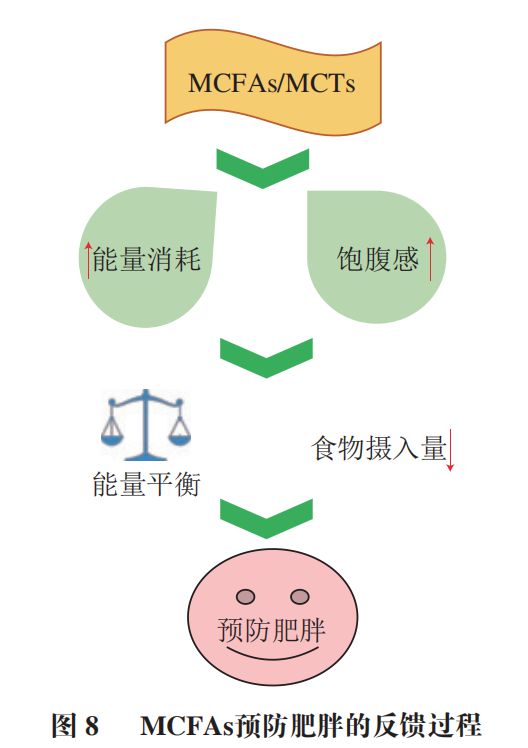 《食品科学》:中国农业大学肖卫华教授等:中链脂肪酸在疾病辅助治疗中的应用及作用机制研究进展(图9) 《食品科学》:中国农业大学肖卫华教授等:中链脂肪酸在疾病辅助治疗中的应用及作用机制研究进展(图9)