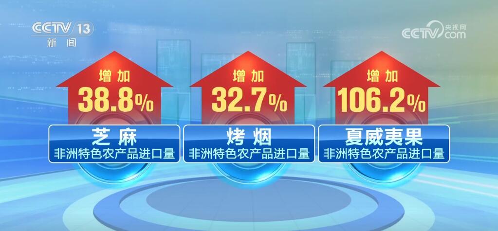 “非洲产”丰富中国人的采购单 “中国造”助力非洲发展与进步(图2)