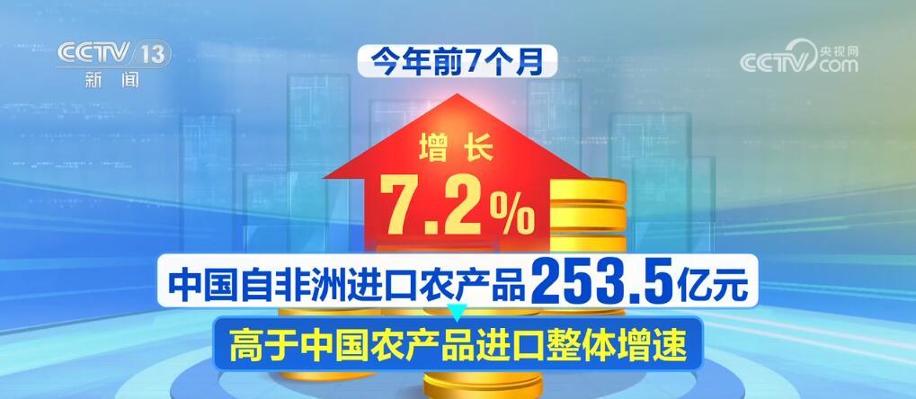 “非洲产”丰富中国人的采购单 “中国造”助力非洲发展与进步(图1)