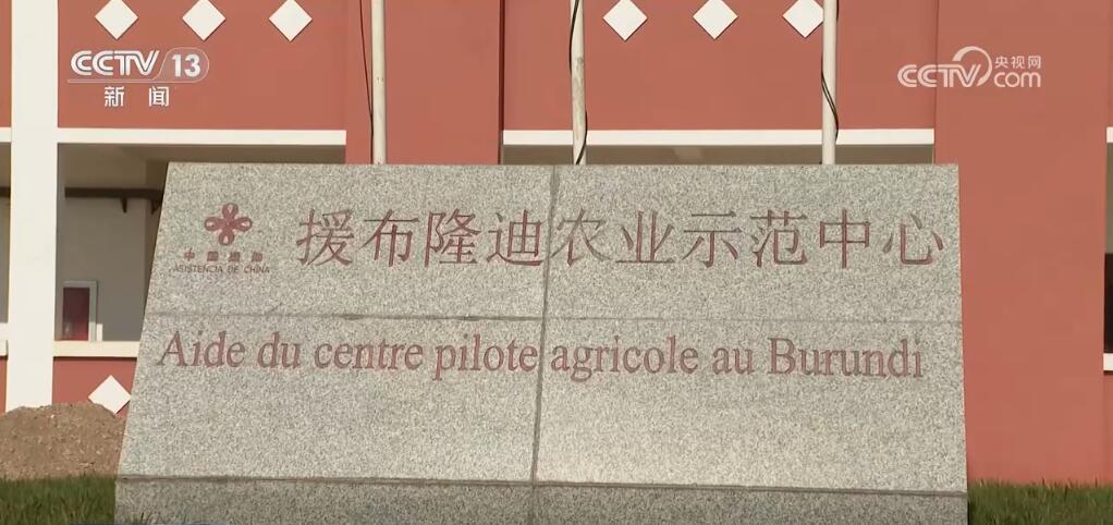 “非洲产”丰富中国人的采购单 “中国造”助力非洲发展与进步(图9)