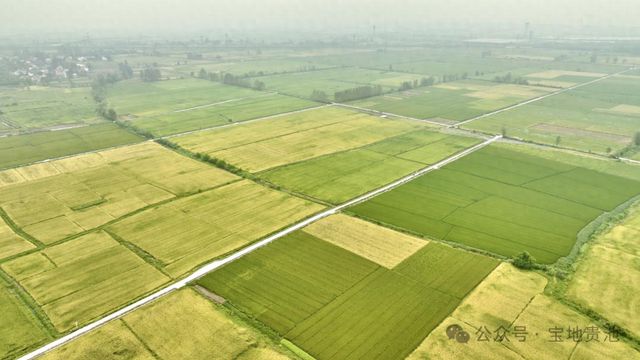 池州市贵池区秋江街道:高标准农田建设催生农业生产集约化 规模化 机械化(图1) 池州市贵池区秋江街道:高标准农田建设催生农业生产集约化 规模化 机械化(图1)