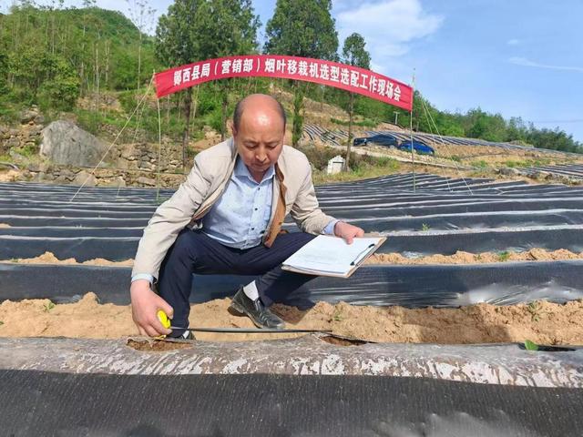 农机农艺“融”出新天地生产提质增效双飞跃(图2) 农机农艺“融”出新天地生产提质增效双飞跃(图2)