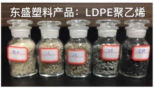 30万吨膜料再生颗粒供应商：东盛、程盛、环盛 在ChinaReplas2024东莞厚街等你10月23日开始(图2)
