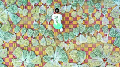 青春光彩在创新中闪耀(图6) 青春光彩在创新中闪耀(图6)