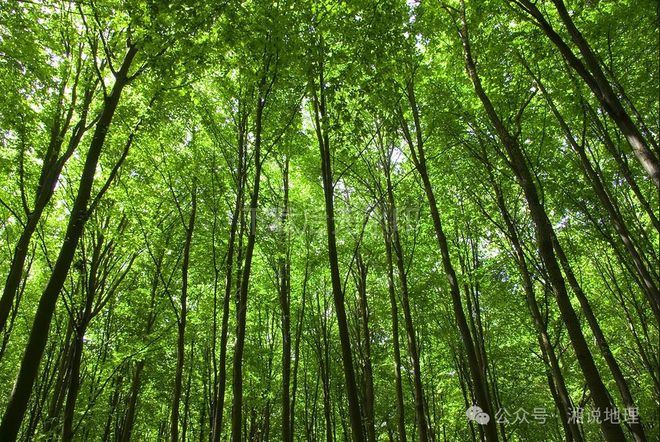 【地理释疑】什么是耕地?什么是林地?草固沙植被(图2) 【地理释疑】什么是耕地?什么是林地?草固沙植被(图2)