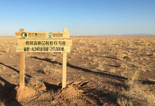 【地理释疑】什么是耕地?什么是林地?草固沙植被(图9) 【地理释疑】什么是耕地?什么是林地?草固沙植被(图9)