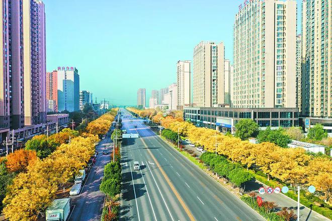高新区城建中心:真抓实干勇担当 城市建设排头兵(图5) 高新区城建中心:真抓实干勇担当 城市建设排头兵(图5)