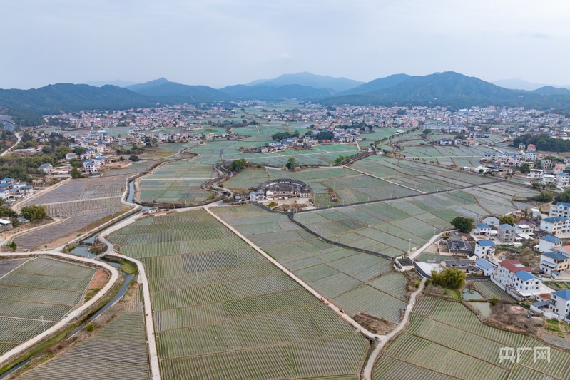 耕山牧海福恰来|福建上杭:高标准农田筑牢增收基石(图1) 耕山牧海福恰来|福建上杭:高标准农田筑牢增收基石(图1)