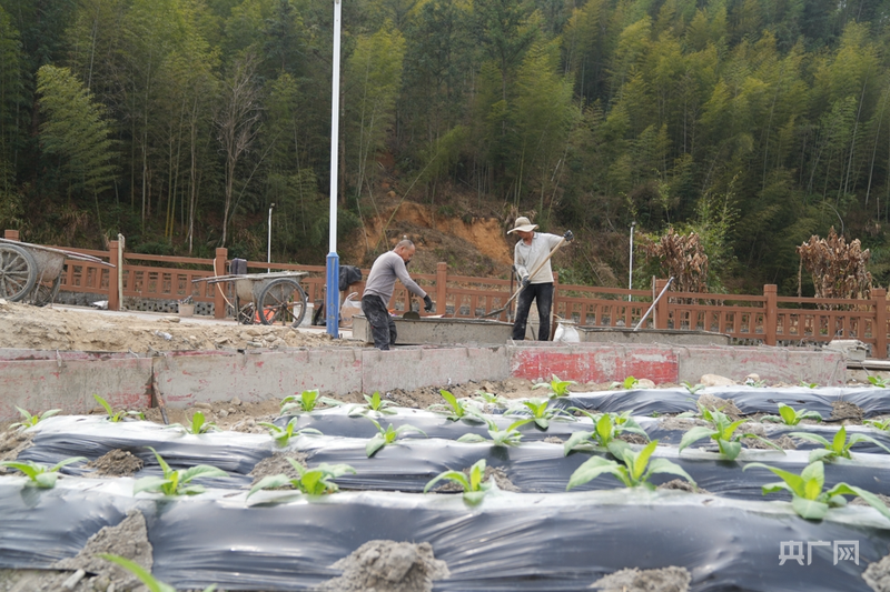 耕山牧海福恰来|福建上杭:高标准农田筑牢增收基石(图4) 耕山牧海福恰来|福建上杭:高标准农田筑牢增收基石(图4)