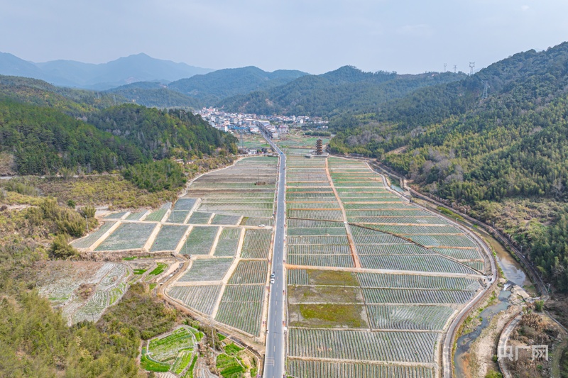 耕山牧海福恰来|福建上杭:高标准农田筑牢增收基石(图3) 耕山牧海福恰来|福建上杭:高标准农田筑牢增收基石(图3)